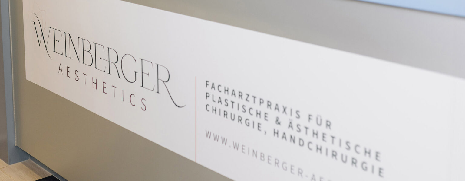 Praxis-weinberger aesthetics